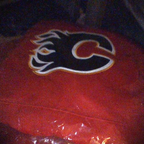 NHL, AHL, WHL, BUNDLE !!!!! - Picture 6 of 16